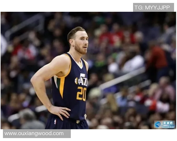 网络正选：海沃德因左脚扭伤将缺席，球迷如何应对？