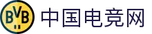 中国电竞网 - 最专业的电子竞技门户网站!